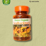 Sea Buckthorn Berries – 100% Natural