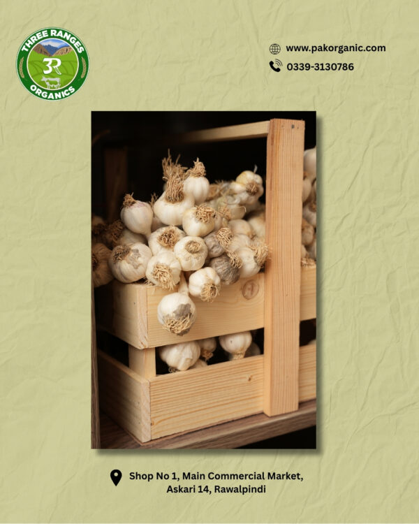 Organic Garlic (1kg) - Fresh
