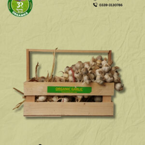 Organic Garlic (1kg) - Fresh
