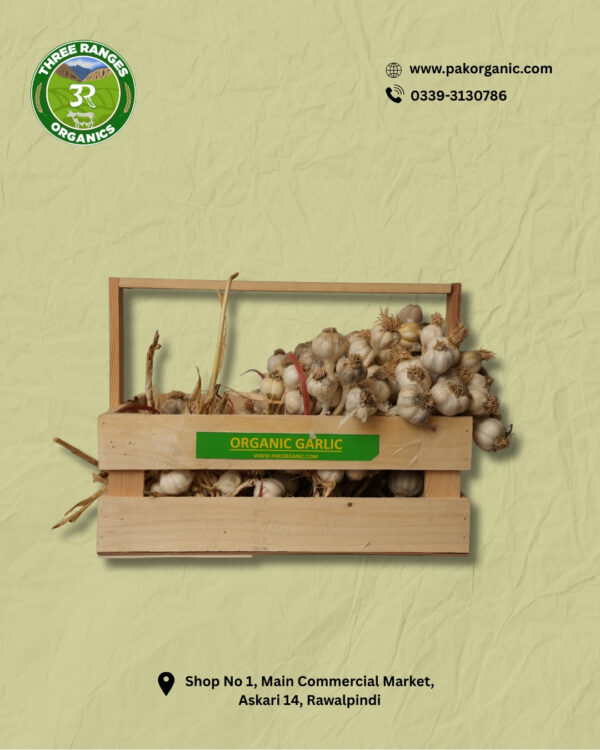 Organic Garlic (1kg) - Fresh